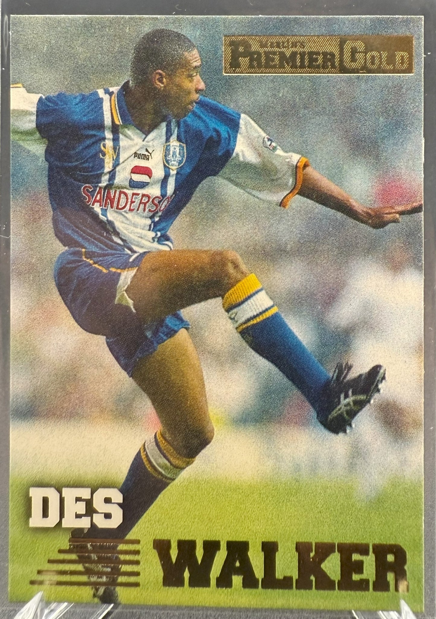 1996-97 Merlin Premier Gold Des Walker #125