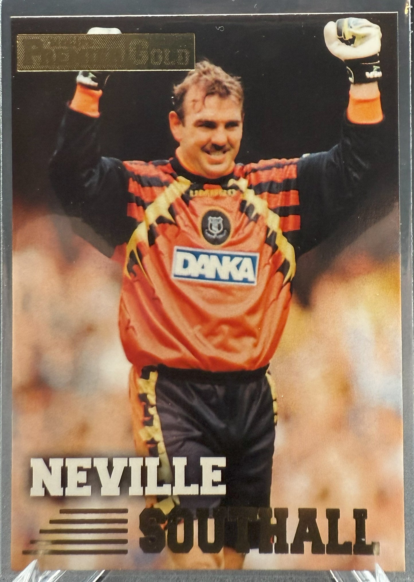 1996-97 Merlin Premier Gold Neville Southall #054