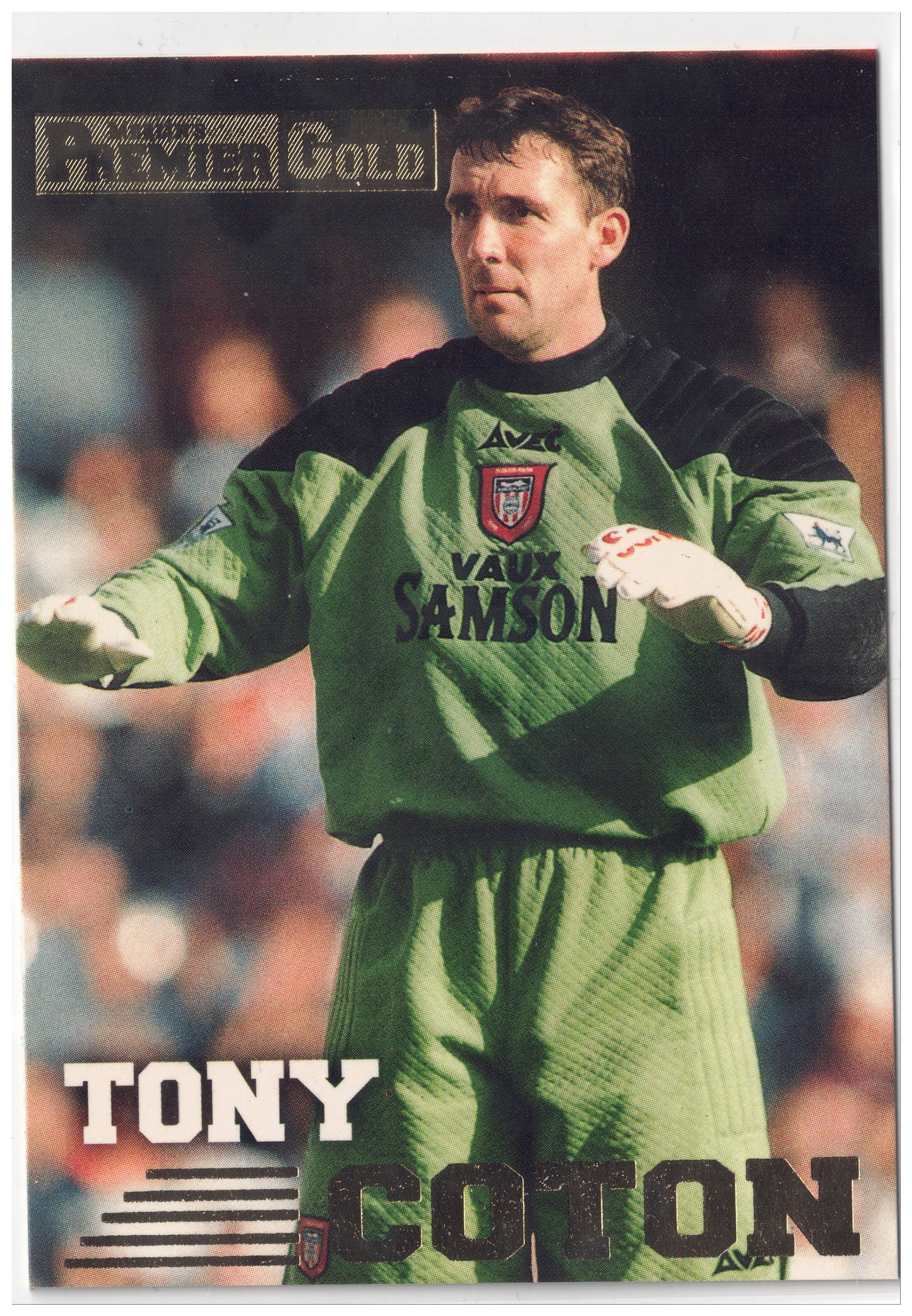 1996-97 Merlin Premier Gold Tony Coton #133