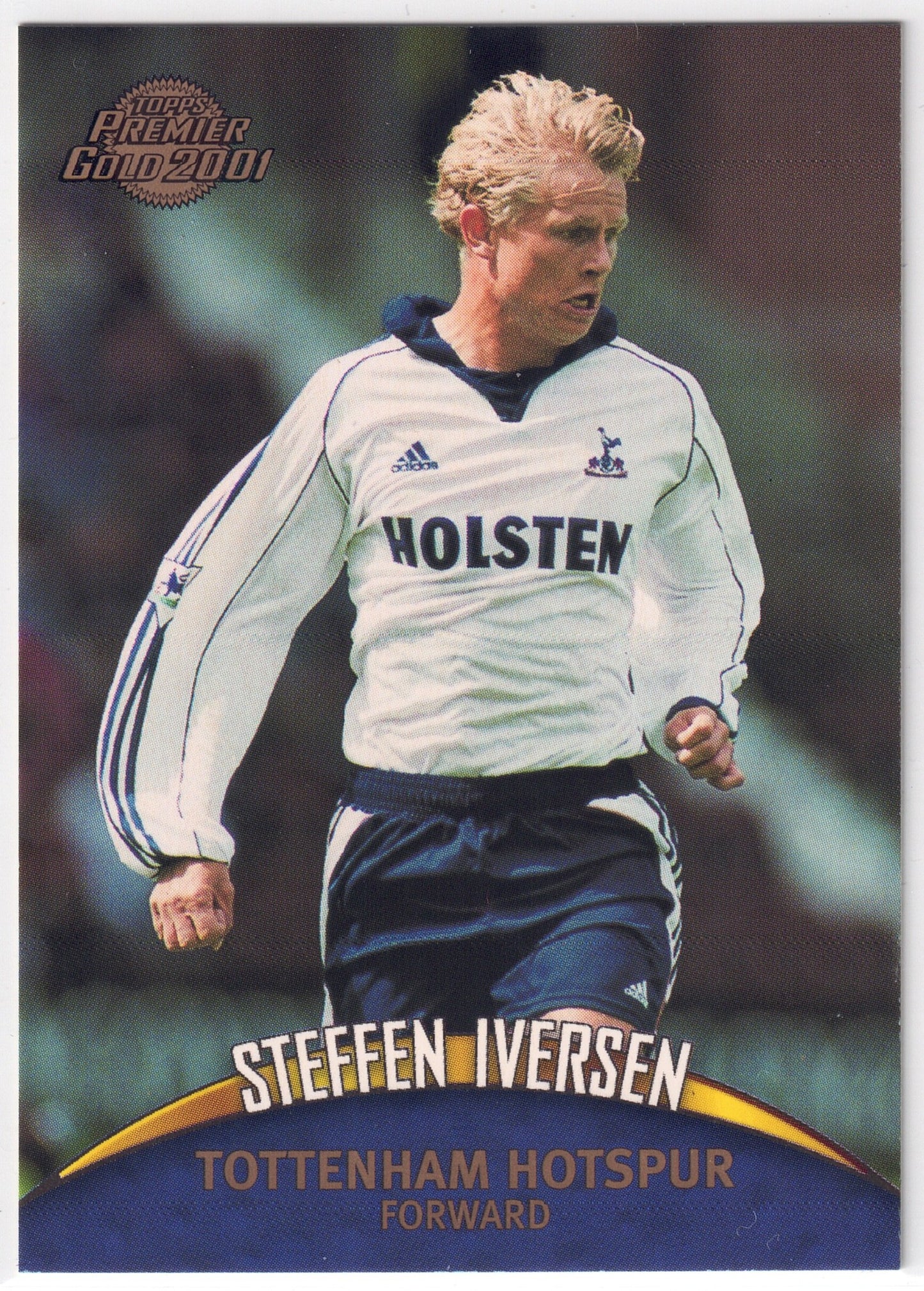 2000-01 Topps Premier Gold #117 Steffen Iversen