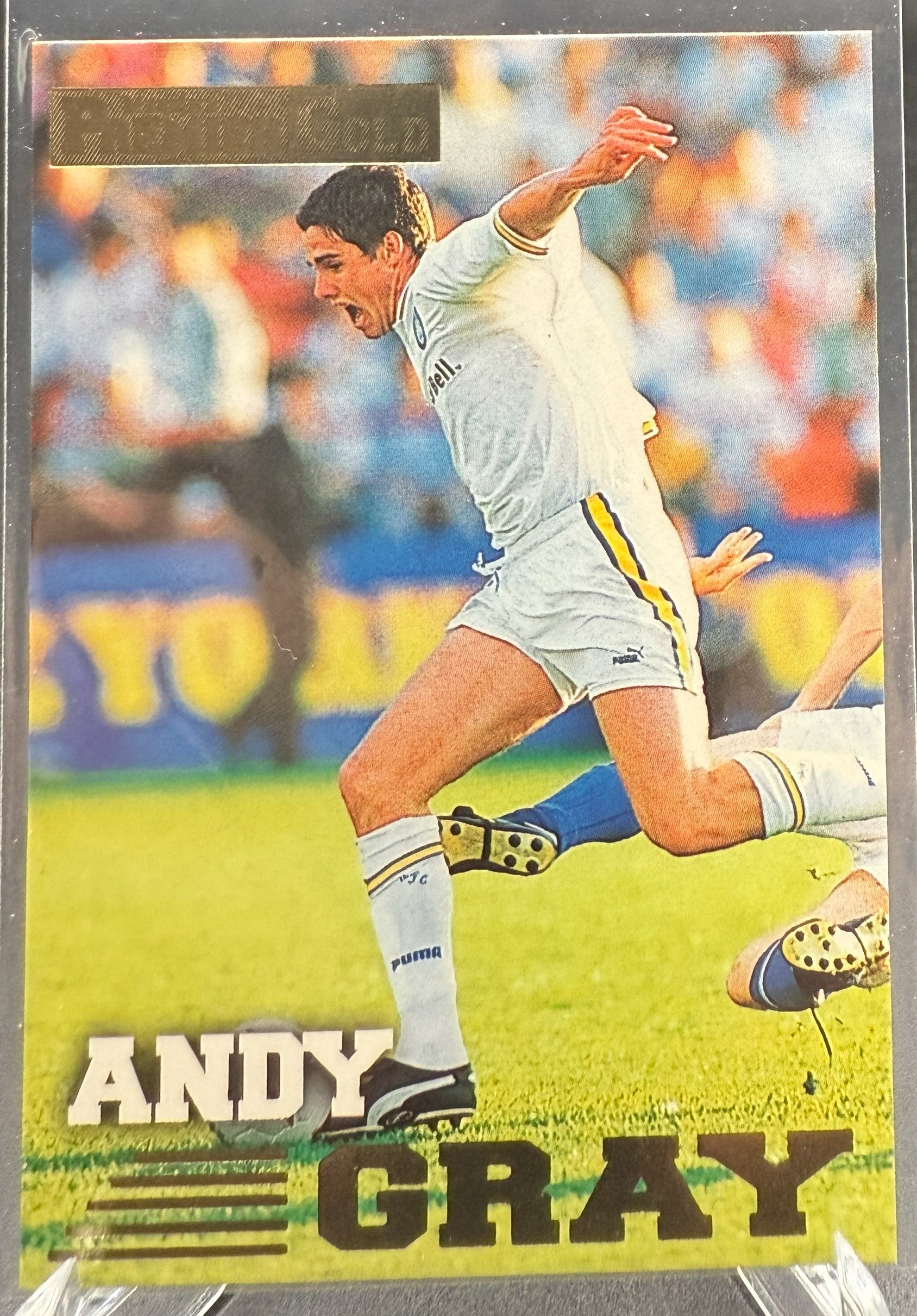 1996-97 Merlin Premier Gold Andy Gray #060