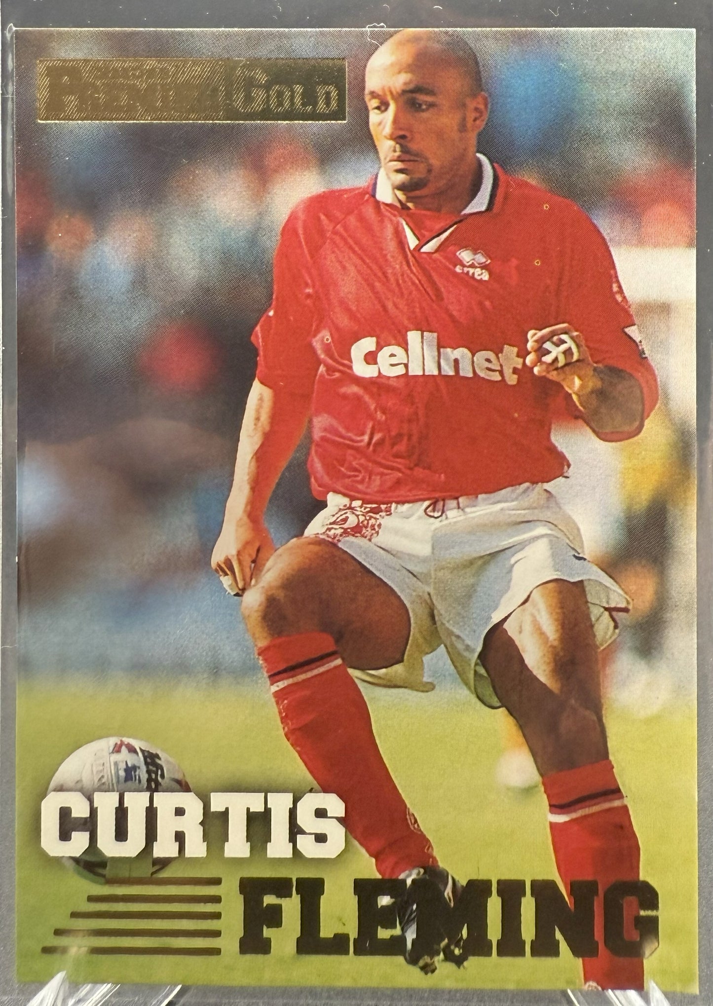 1996-97 Merlin Premier Gold Curtis Fleming #100