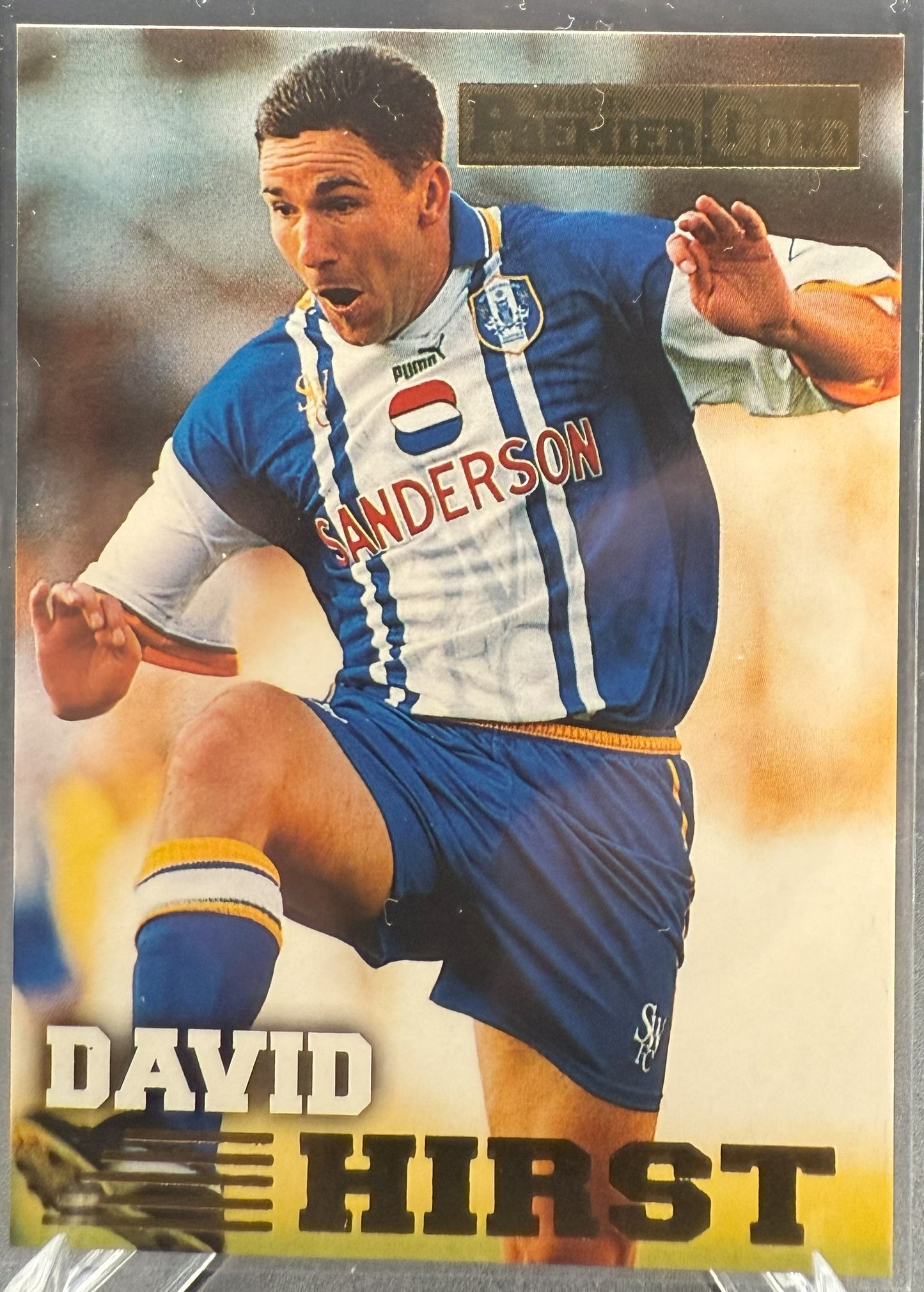 1996-97 Merlin Premier Gold David Hirst #119