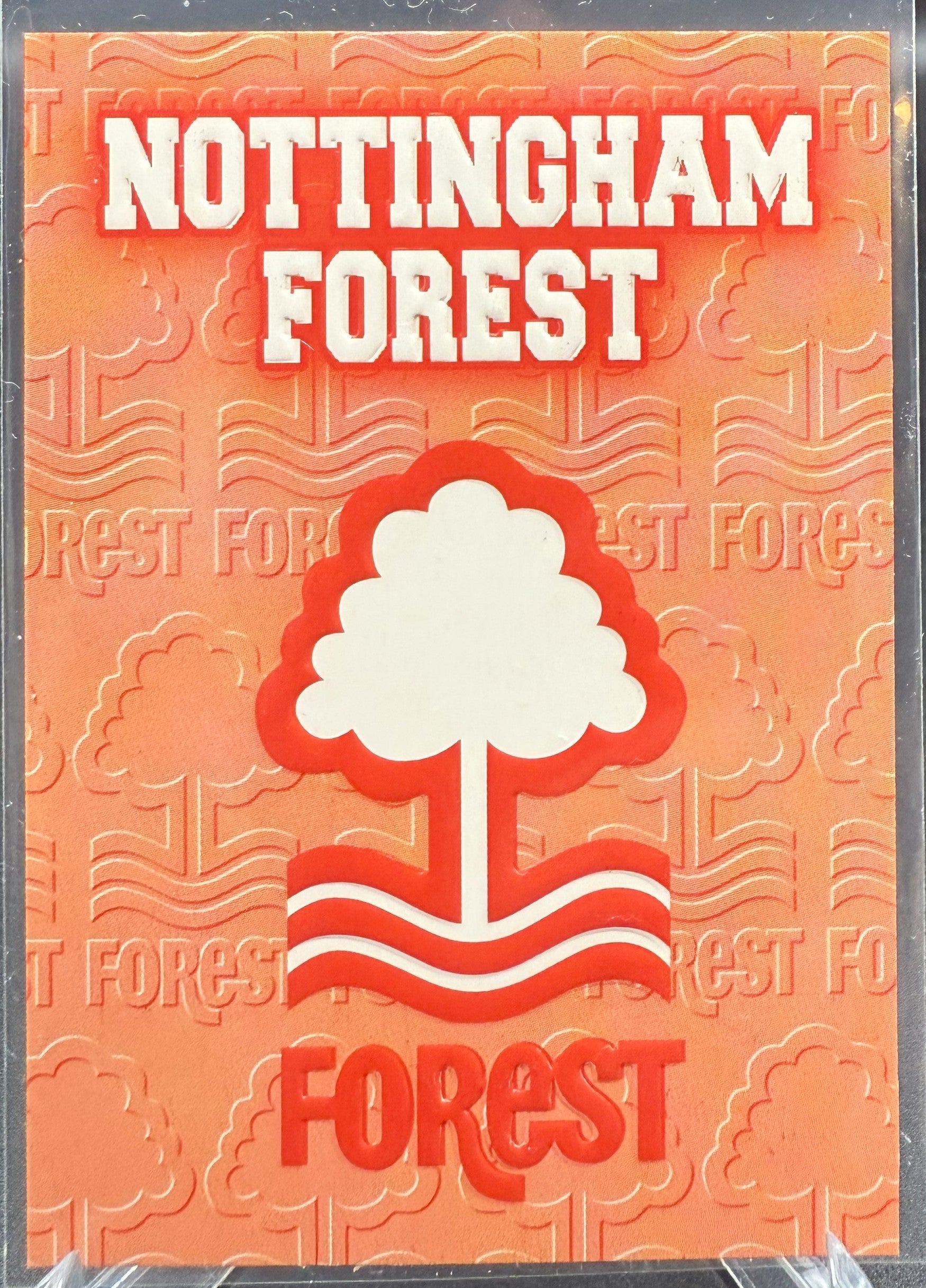 1996-97 Merlin Premier Gold Nottingham Forest Logo #E14