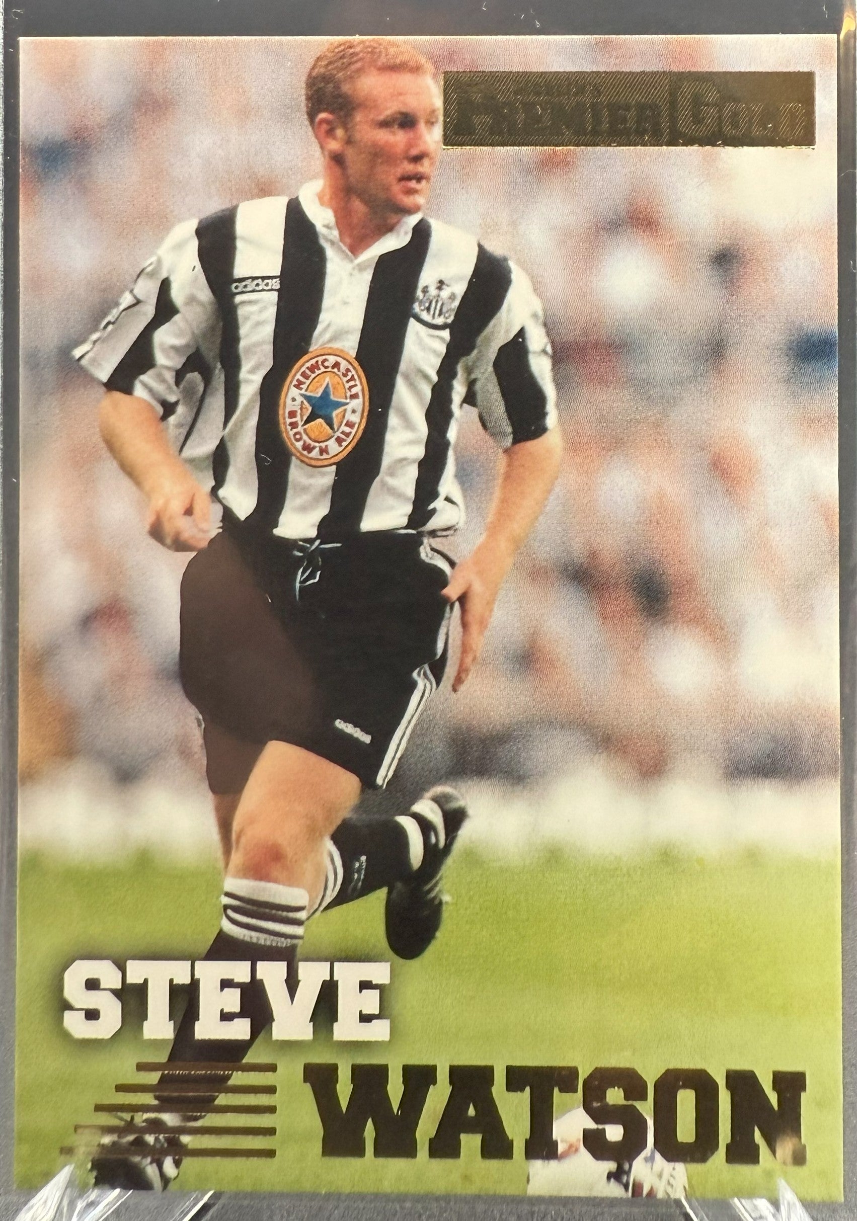 1996-97 Merlin Premier Gold Steve Watson #110
